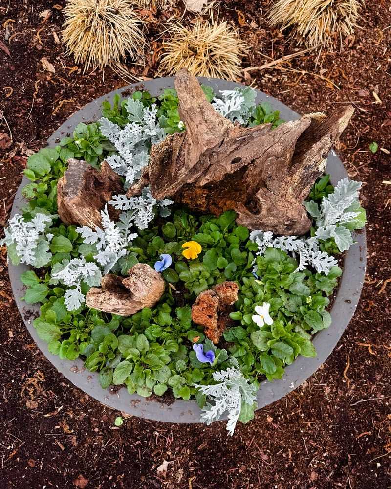 Therapeutic Garden Space