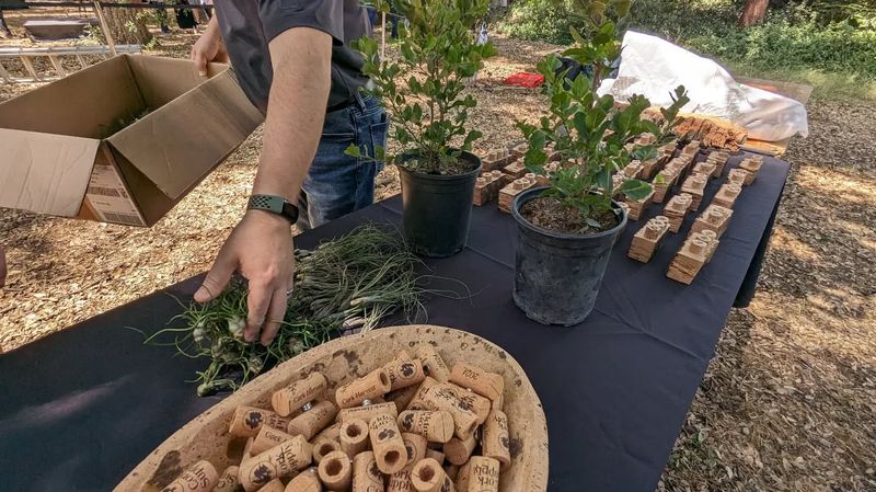 DIY Irrigation System Components