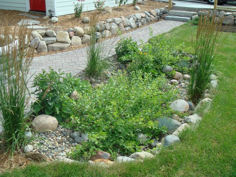 Rain Garden Adjacent Design