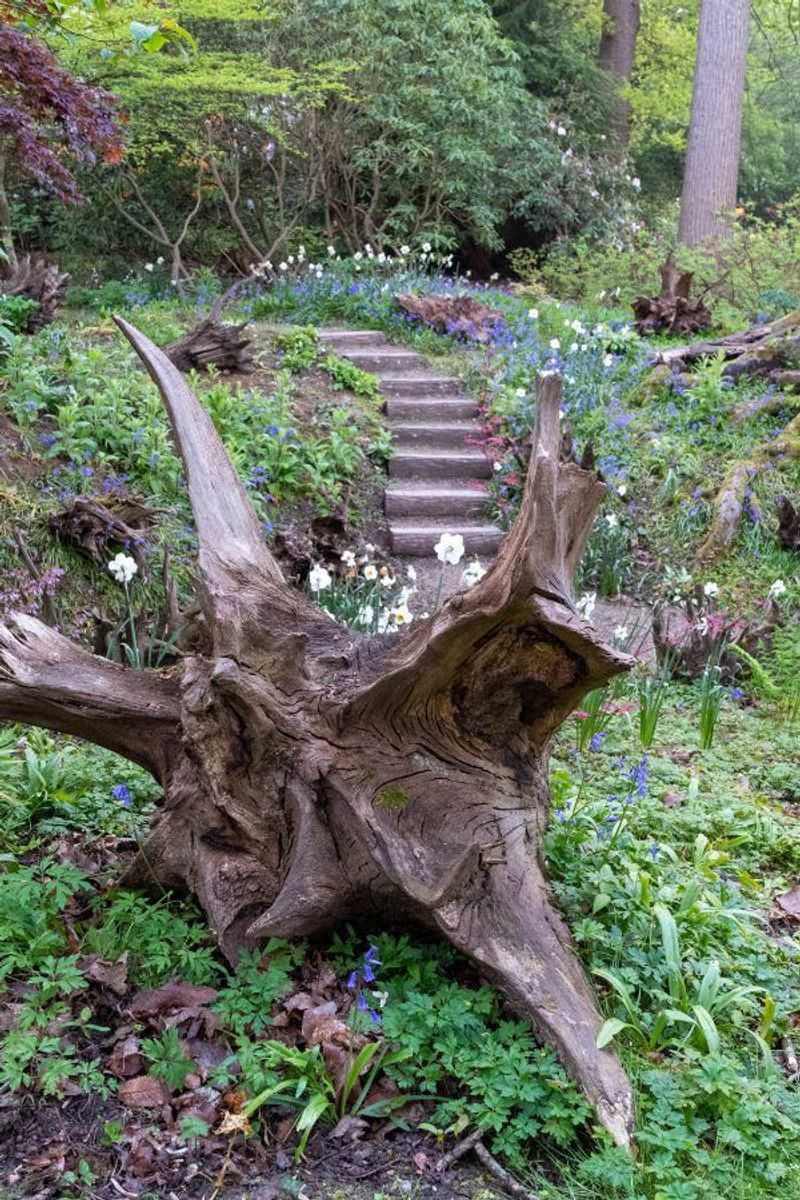 Perfect Home for Shade Plants