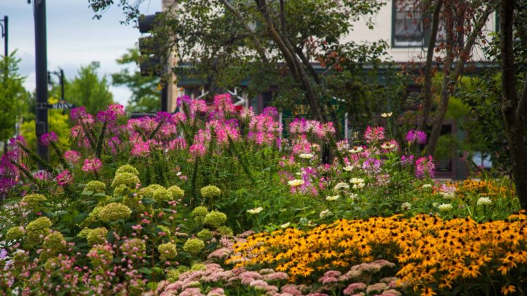 naturalistic vermont garden