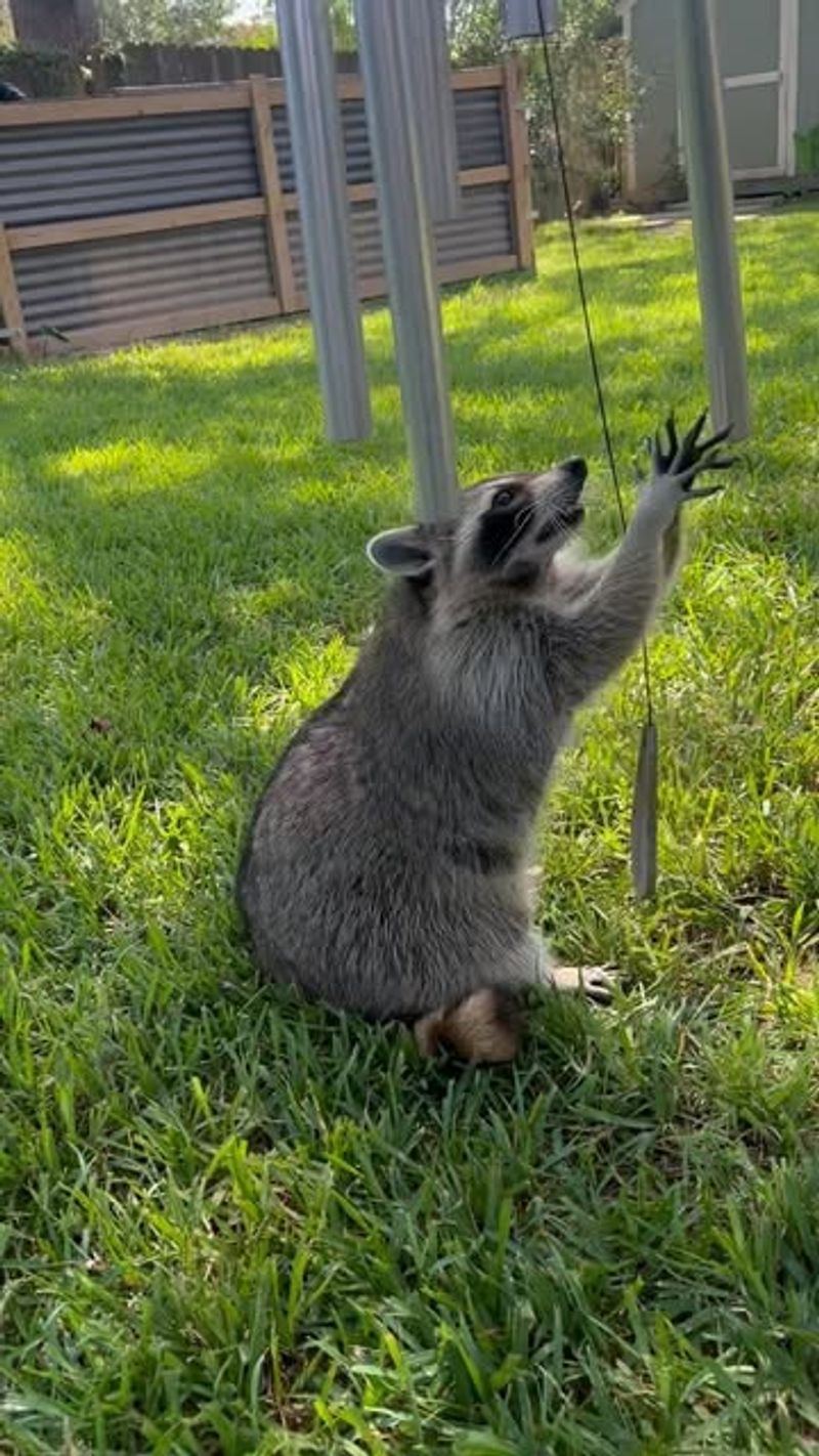 Wildlife Education Opportunities