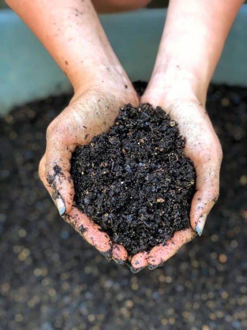 Ignoring Your Soil's Specific Needs