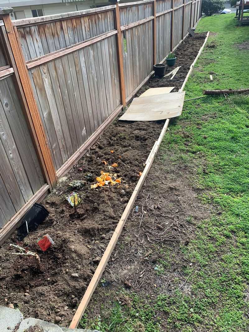 Unapproved Fence-Line Plantings