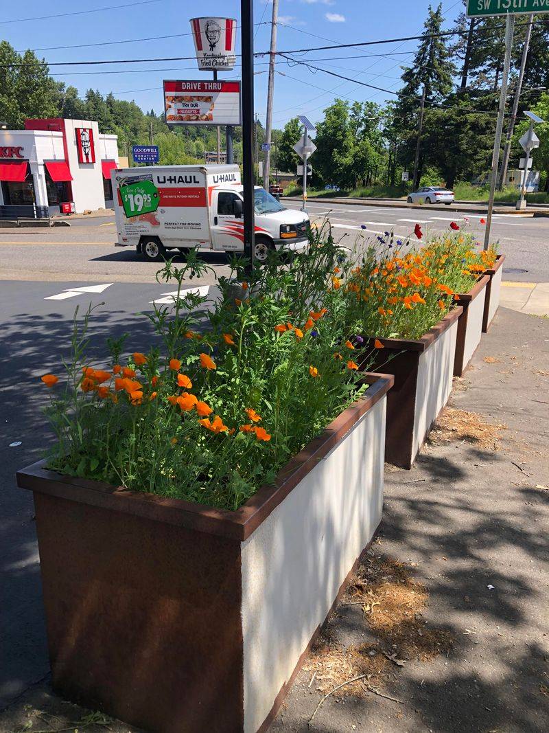 Guerrilla Gardening In Public Spaces