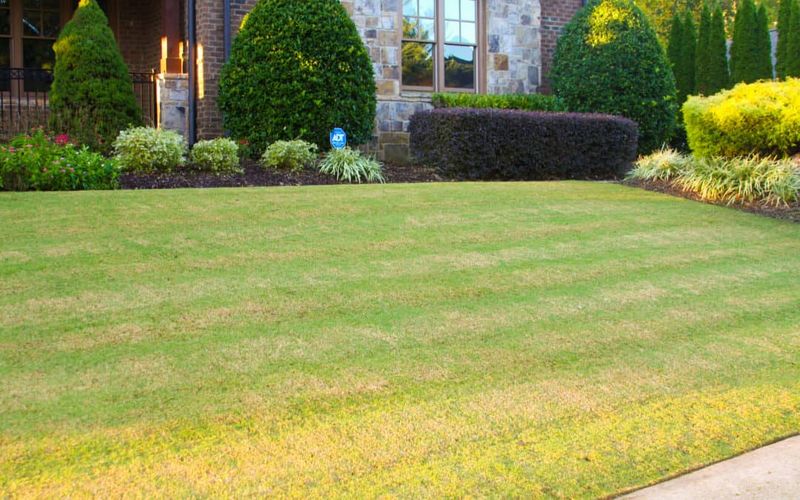 Overlooking Proper Lawn Care Fundamentals