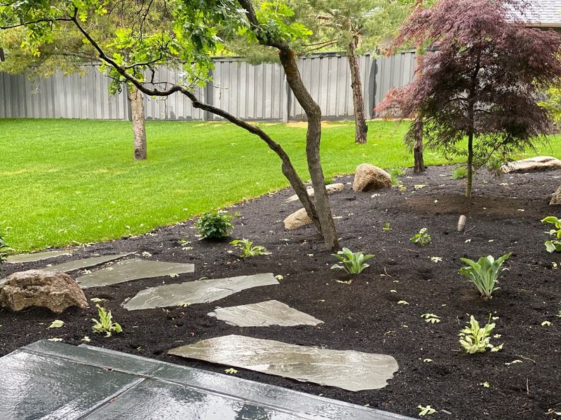 Improper Lawn Care Practices