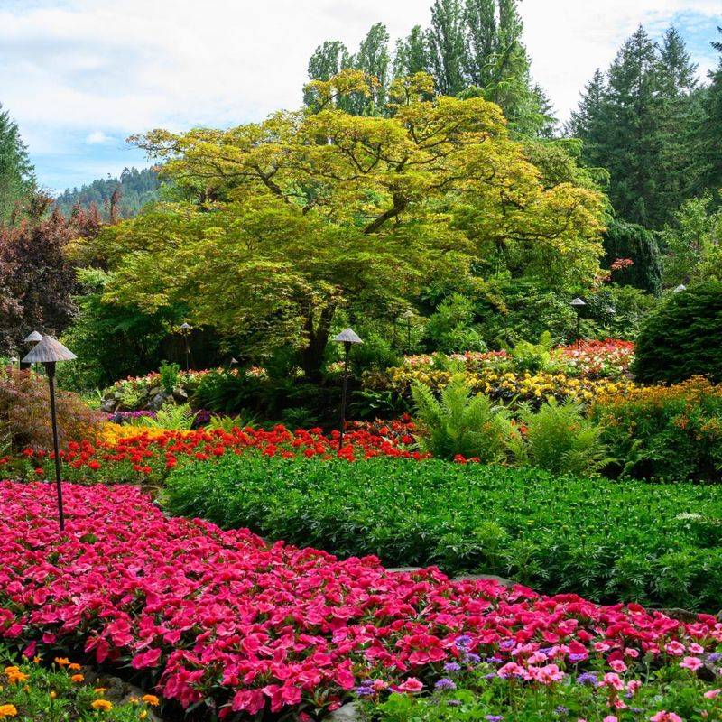 Butchart Gardens, Washington