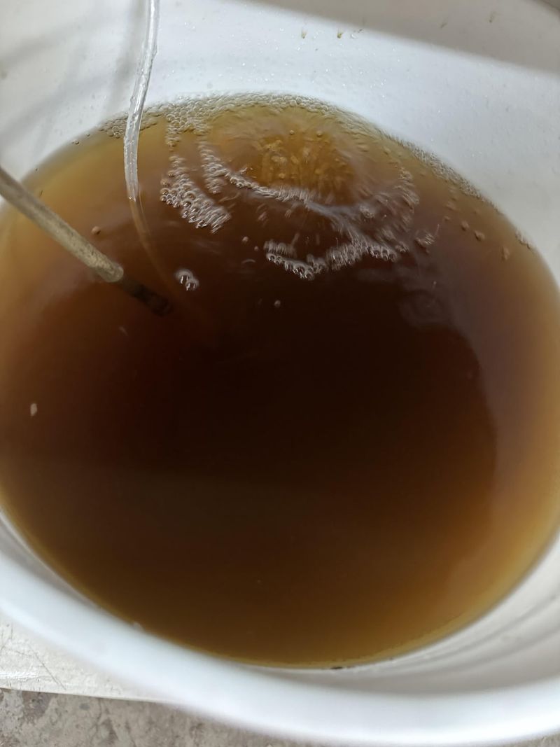 Homemade Compost Tea