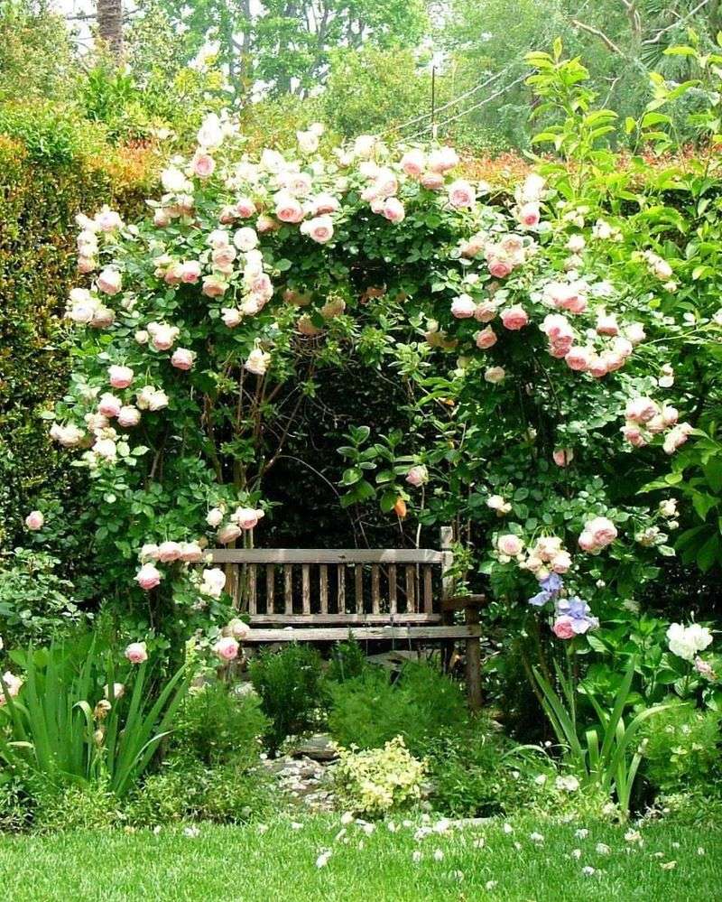 Cloud-Watching Seating Areas