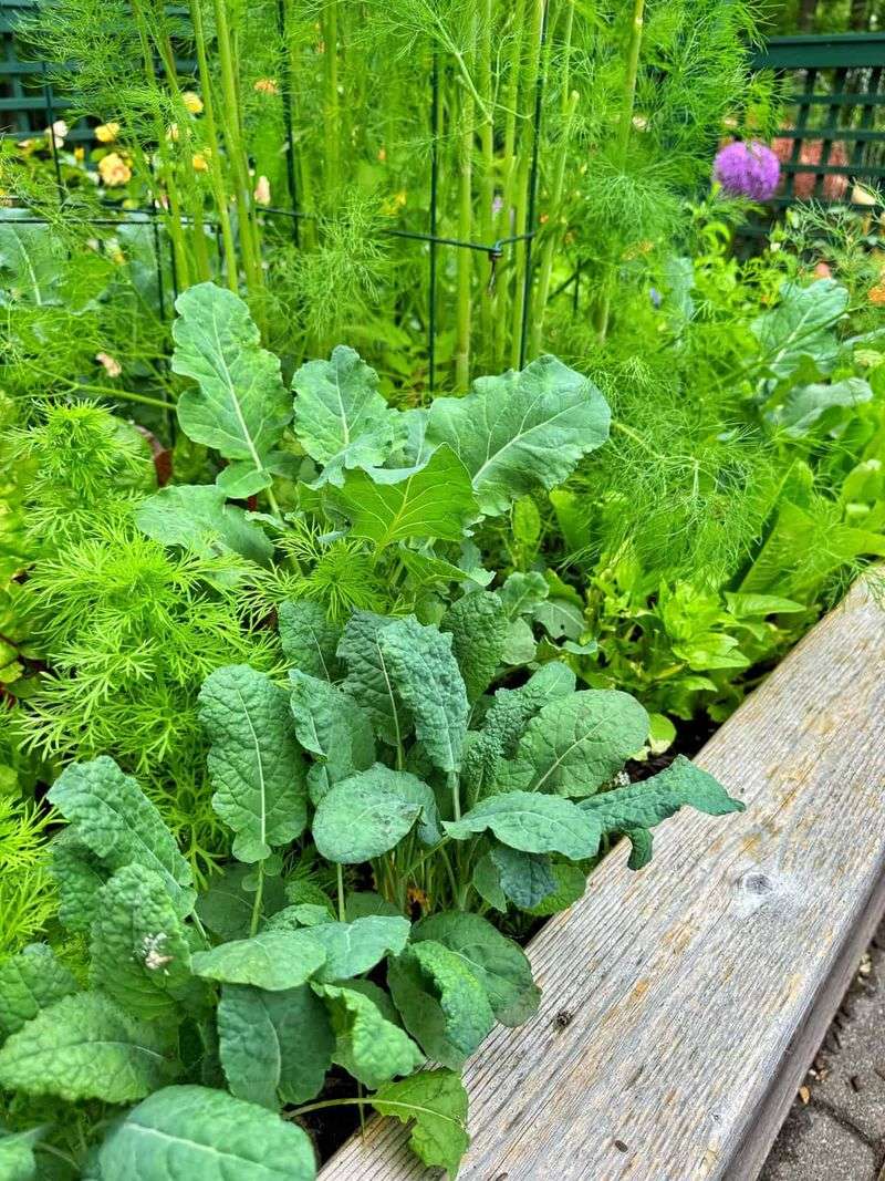 Plant Selection Mismatch