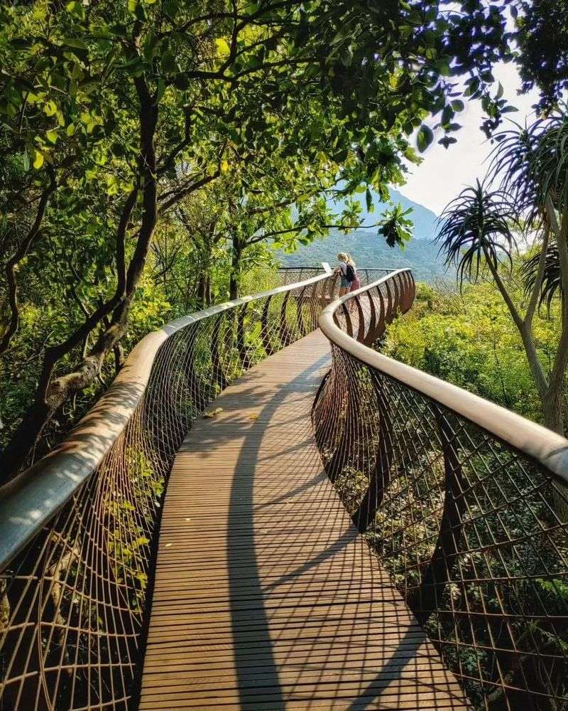 Kirstenbosch National Botanical Garden, South Africa