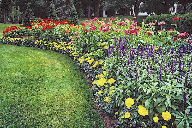 Lawn Edges Near Sprinklers