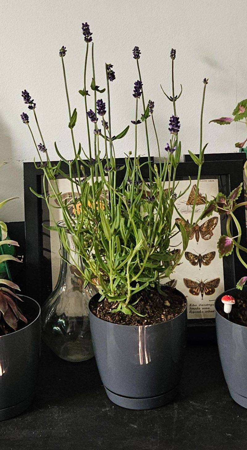 Indoor Environments