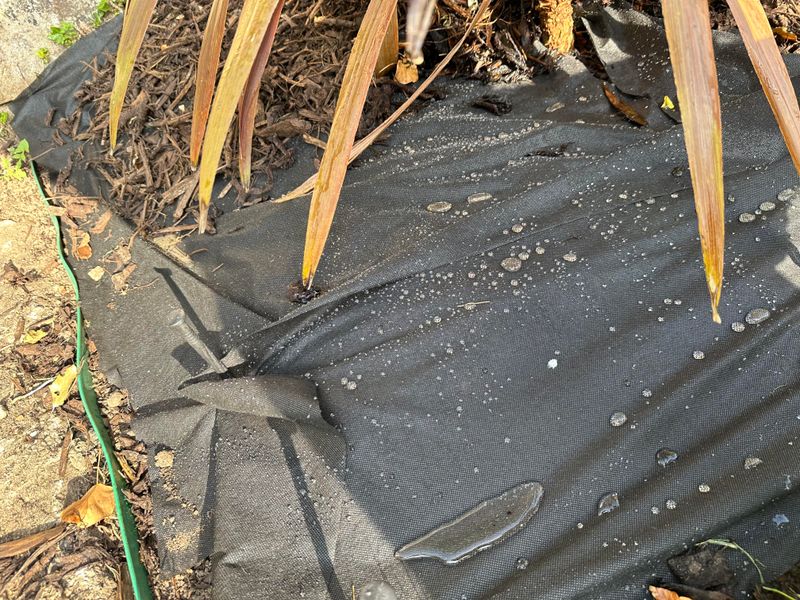 Barrier Formation Prevents Water Penetration