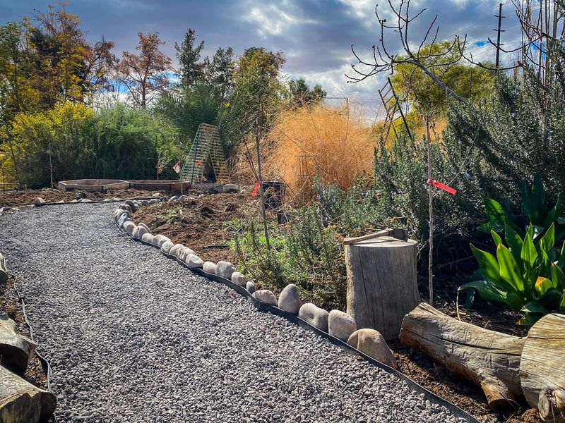 Rock Mulching