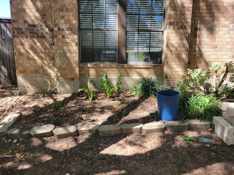 Native Perennial Border Integration