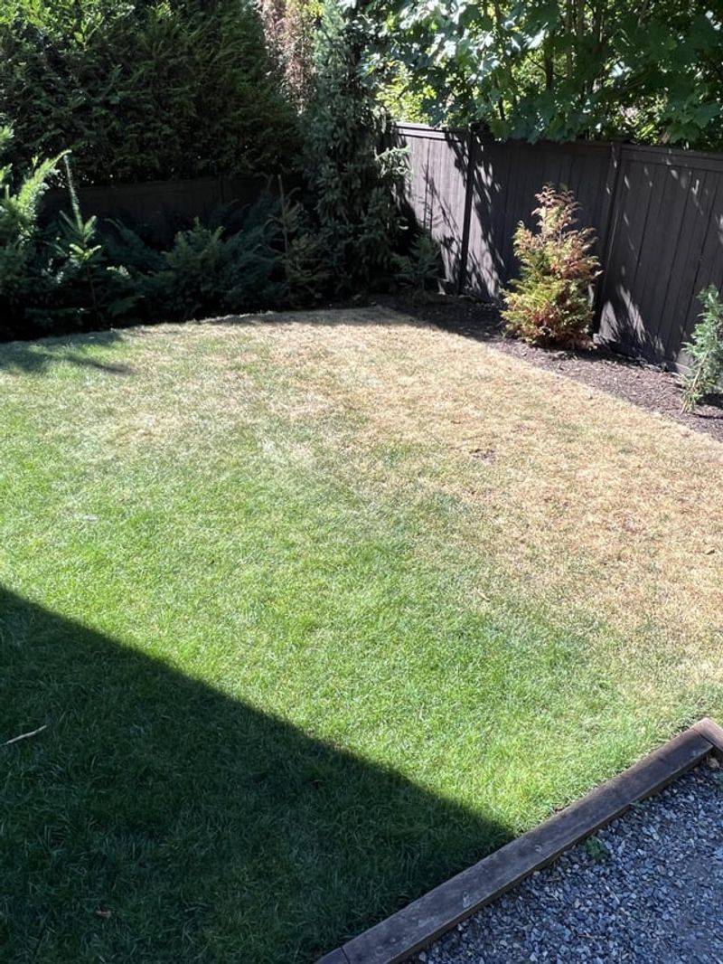 Watering Without Measuring