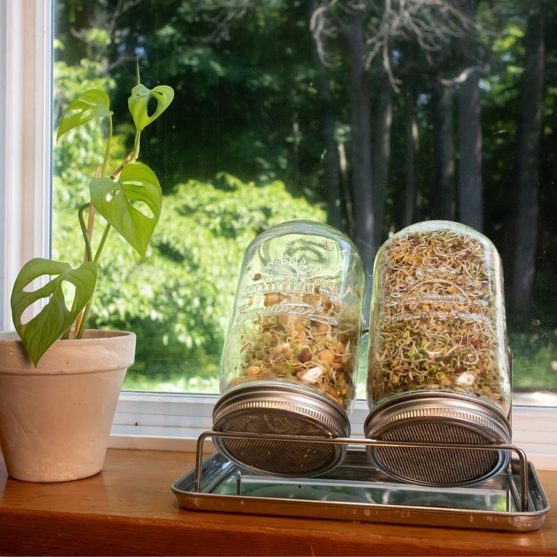 Sprouts