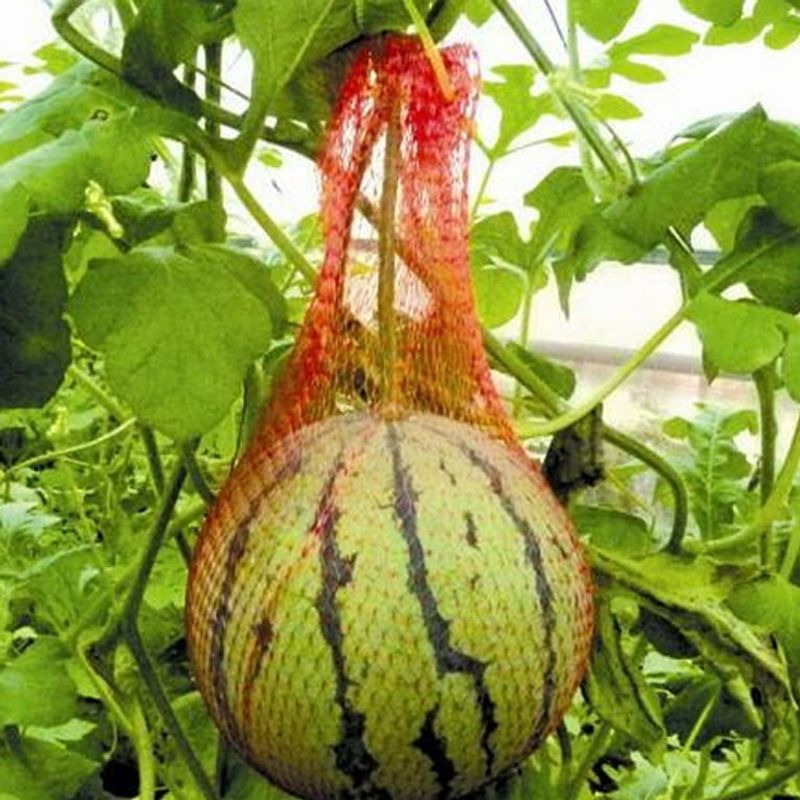 Make Plant Support Slings