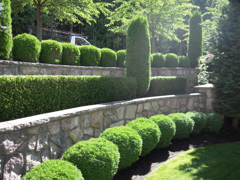 Perfectly Symmetrical Hedges