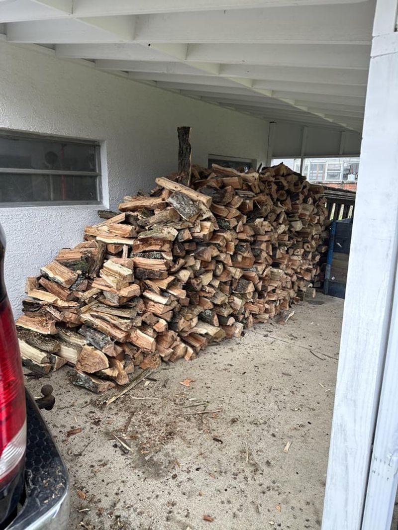Firewood Attracts Destructive Termites