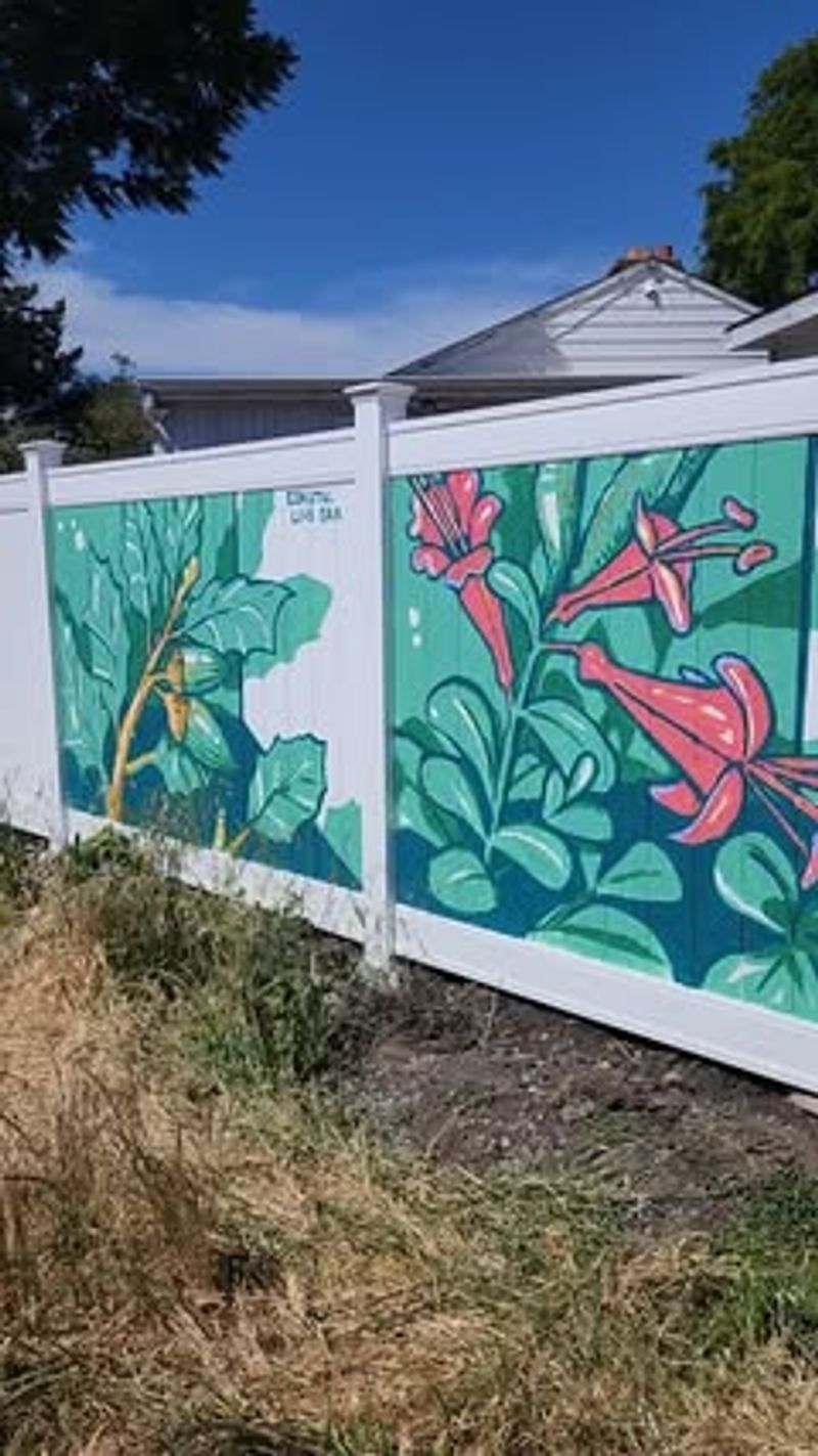 Painted Fence Panels