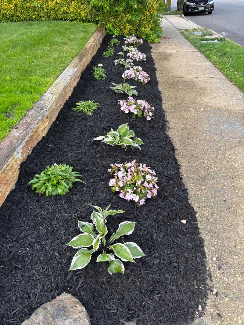 Mismatched Plant Varieties
