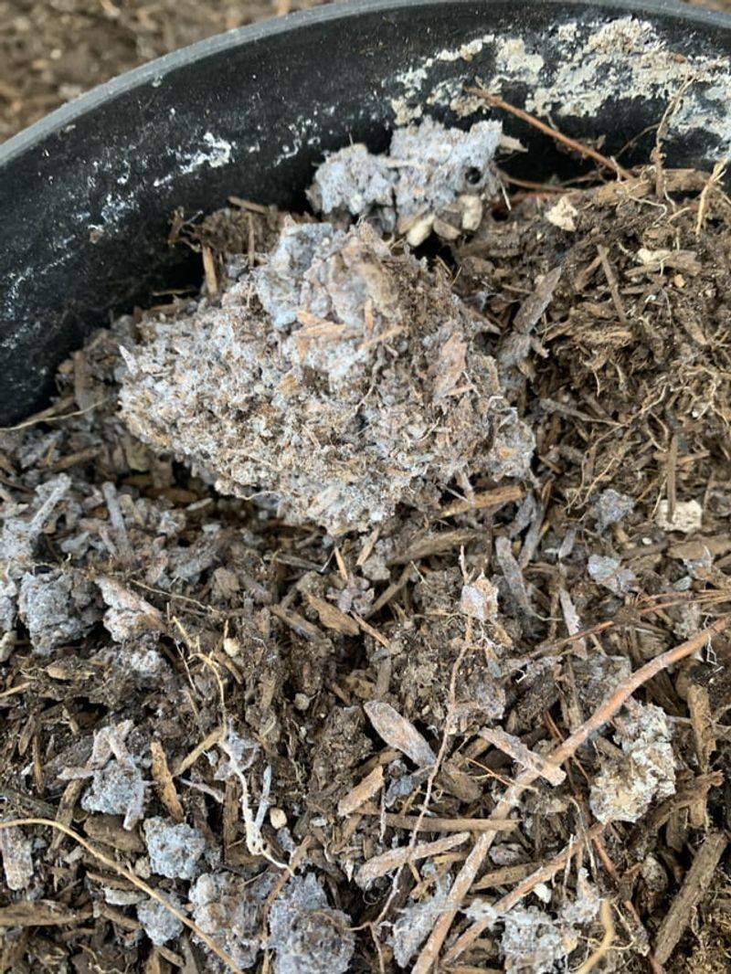 Mulch Fermentation Issues
