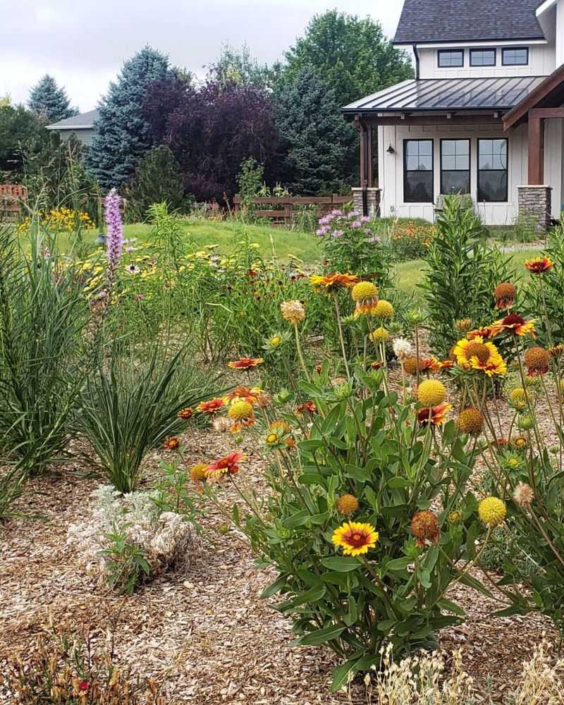Dying Lawns