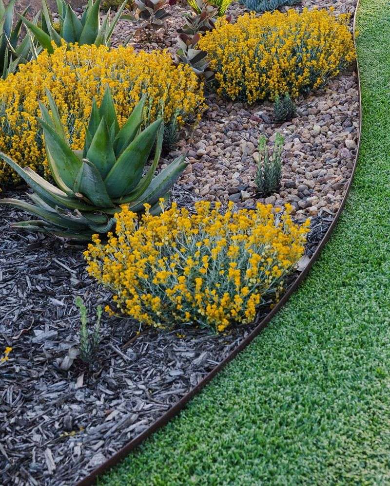 Defined Bed Edges
