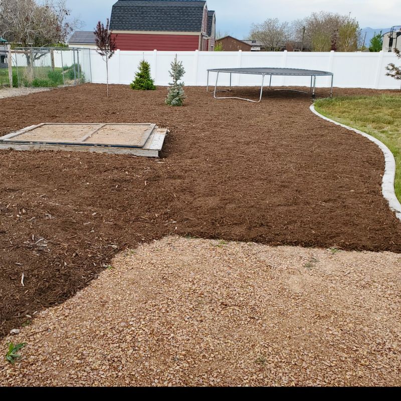 Forgetting To Mulch