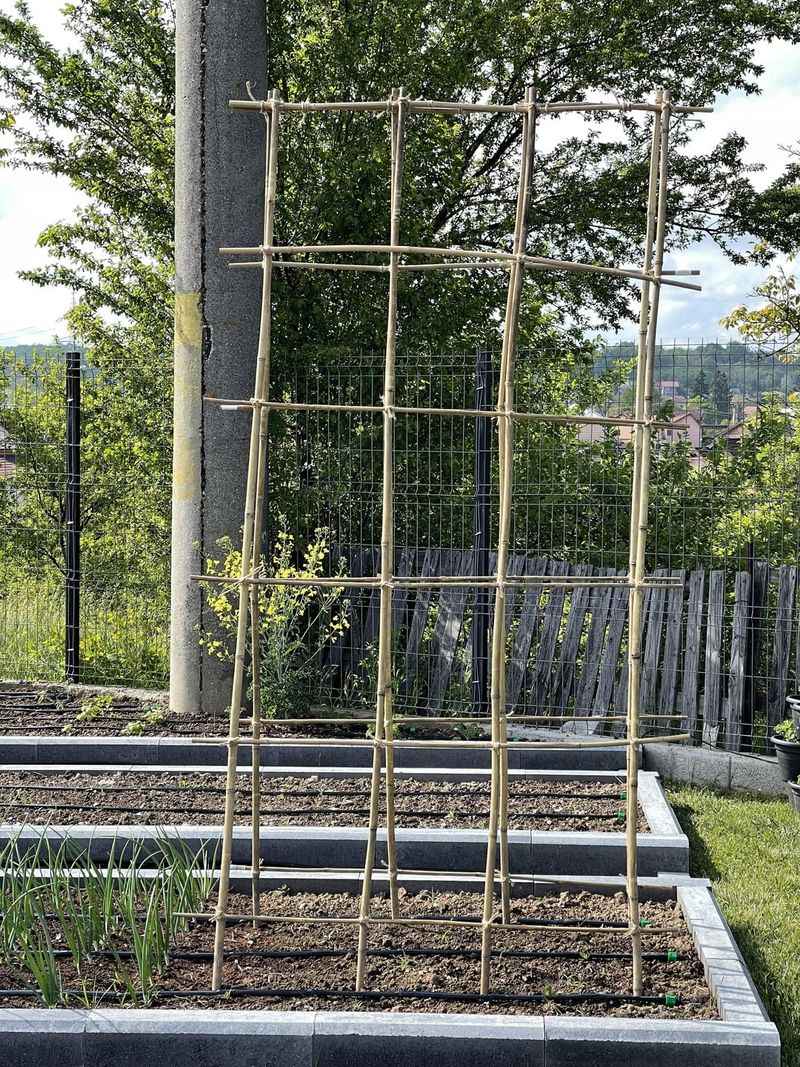 Build a Simple Trellis