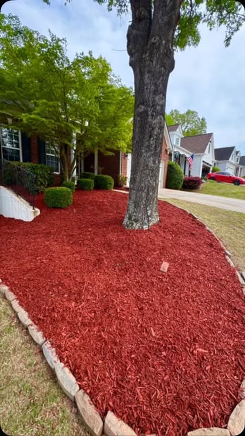 Colorful Mulch