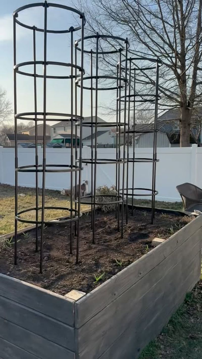 Concrete Reinforcing Mesh Trellis