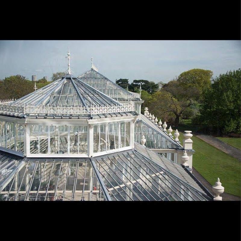 Temperate House Rebirth