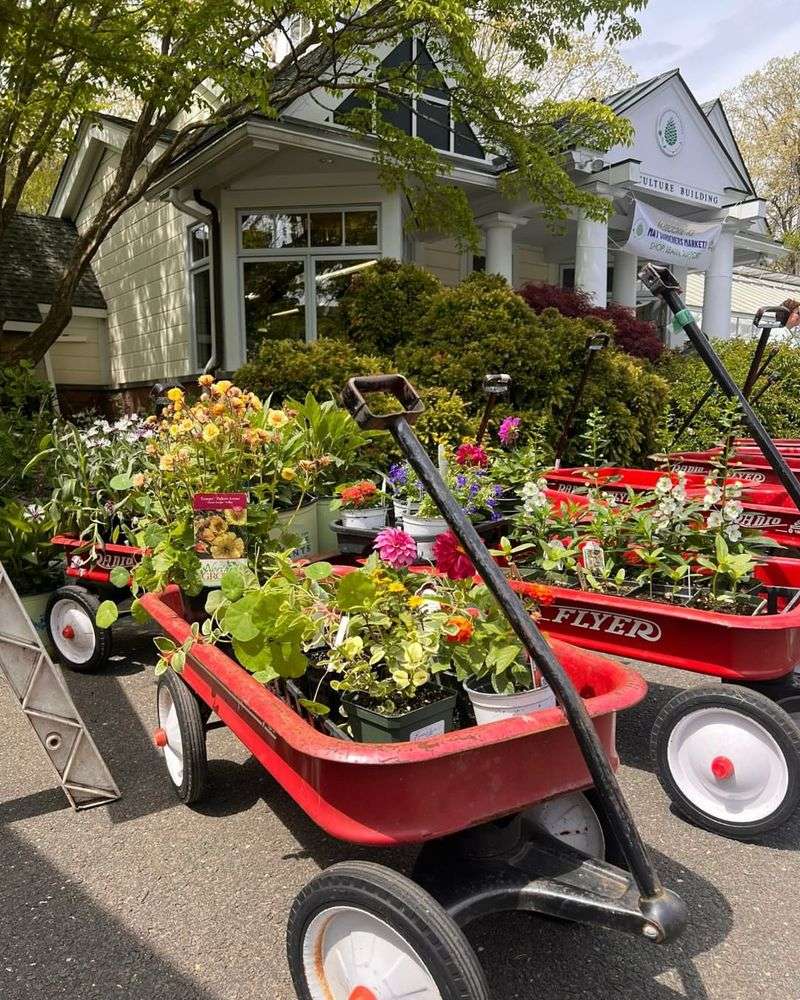 Wagon Planter Display