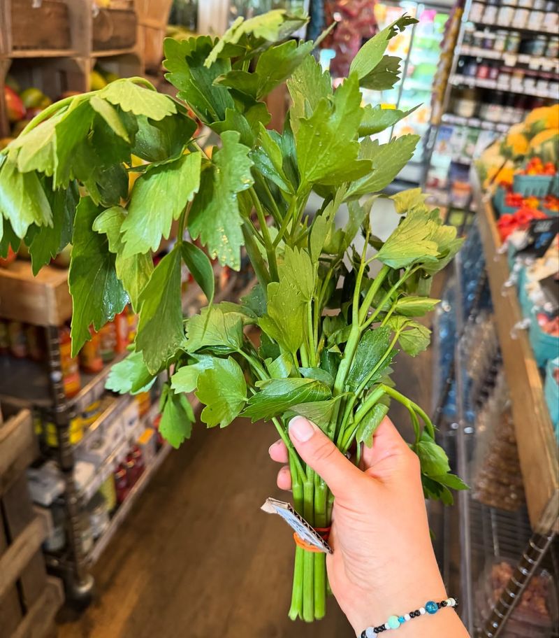 Lovage: The Forgotten Herb-Vegetable