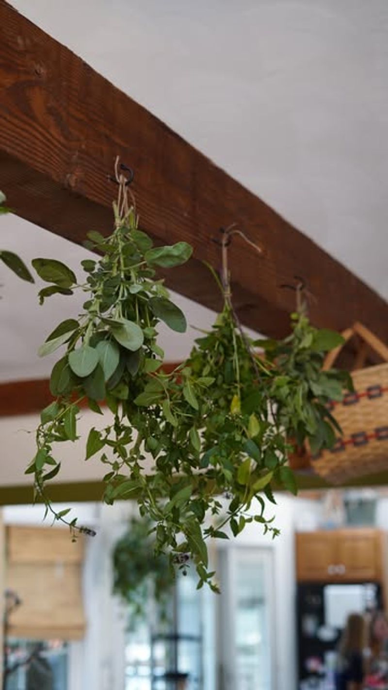 Bundle For Air-Drying