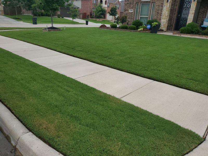 Quick Lawn Refresh