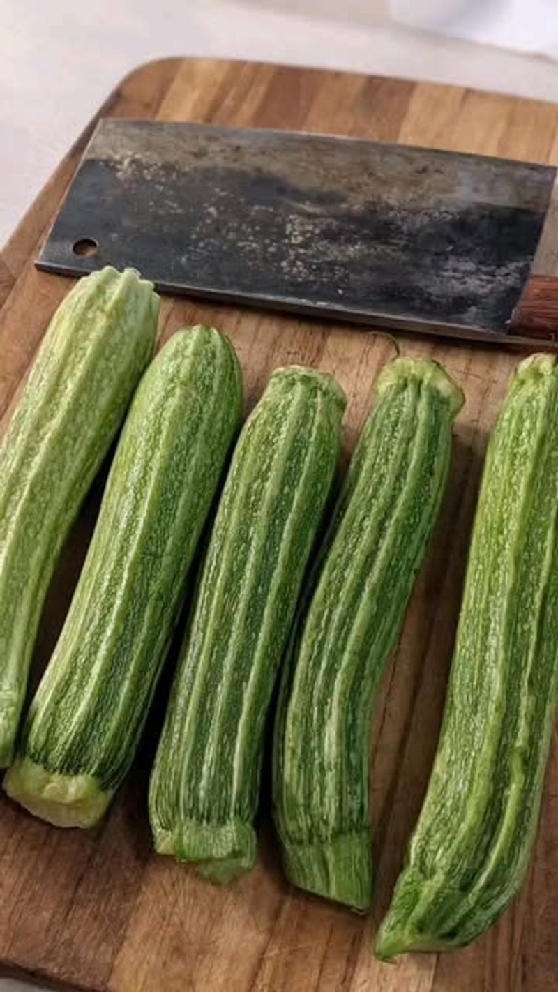Costata Romanesco Zucchini