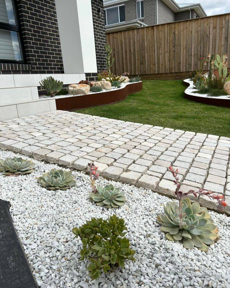Black Star Gravel With Succulents