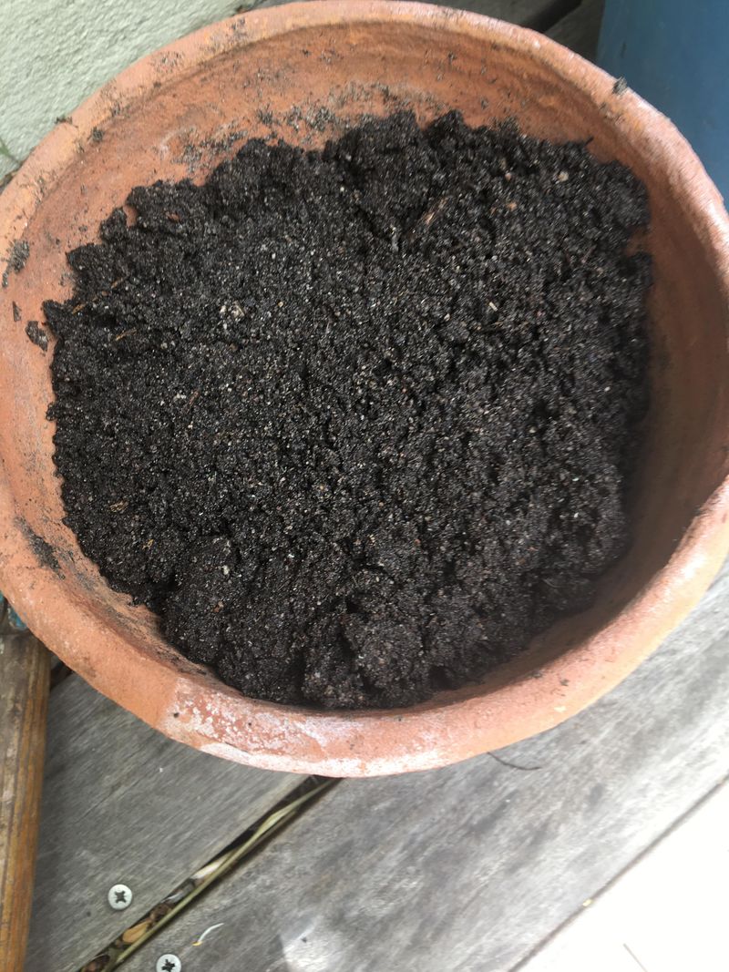 Chicken Manure (Fresh)