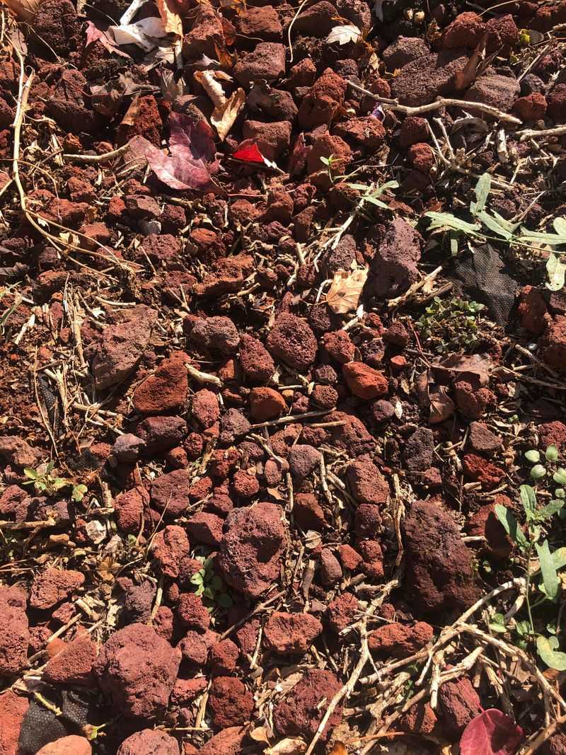 Red Lava Rock Mulch