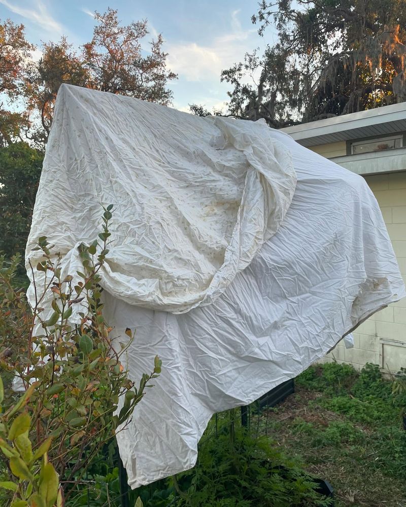 Emergency Frost Protection During Temperature Swings