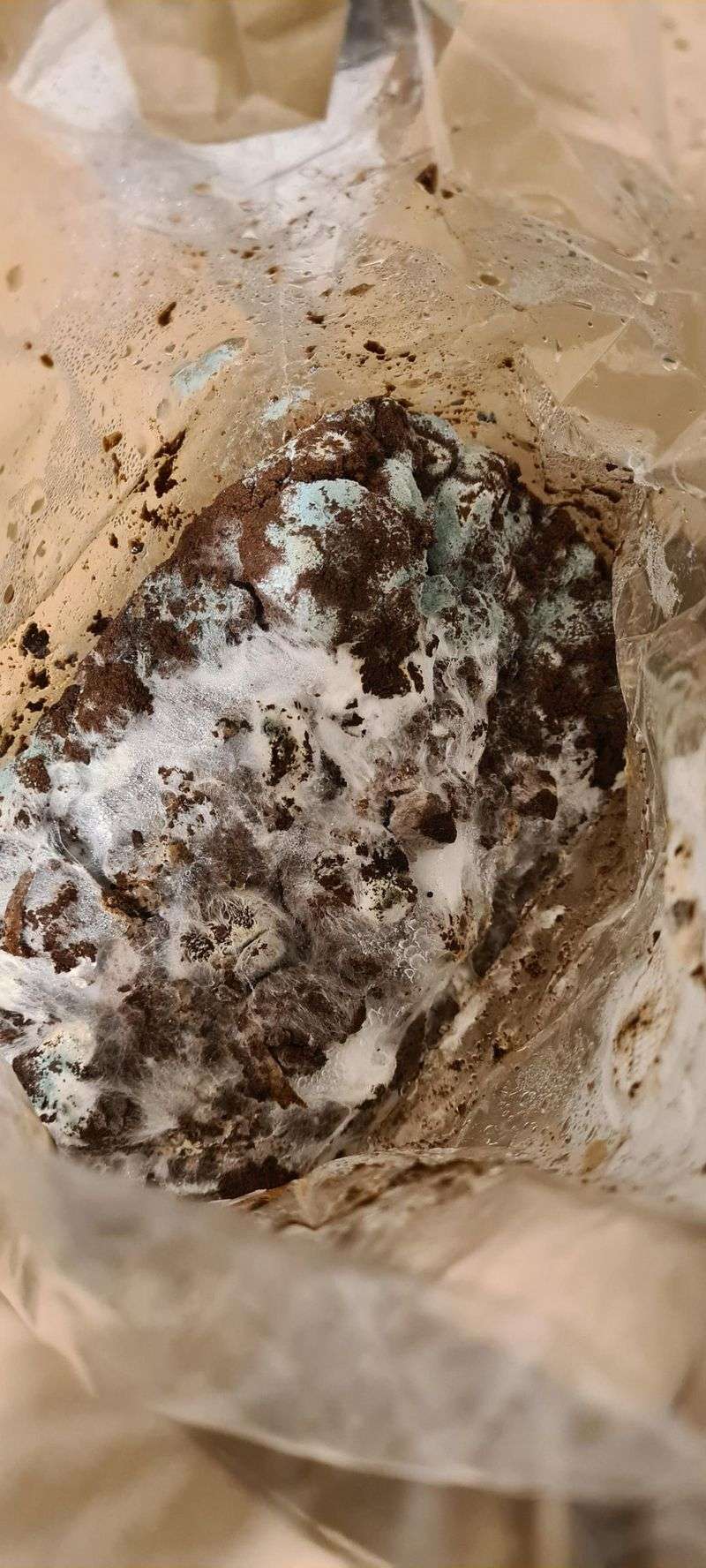 Mushroom Growing Medium