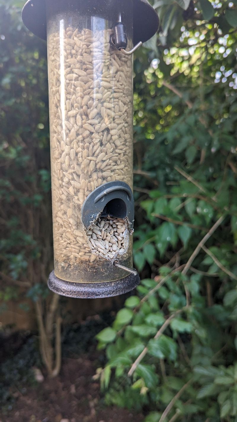 Bird Feeders