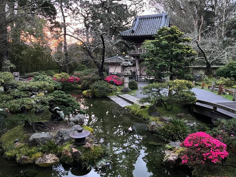 San Francisco Botanical Garden, California