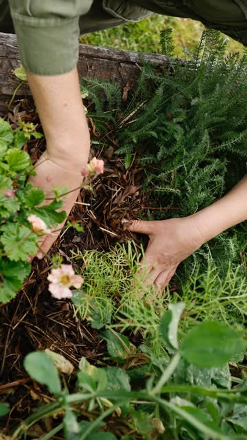 Stress Relief Through Green Therapy
