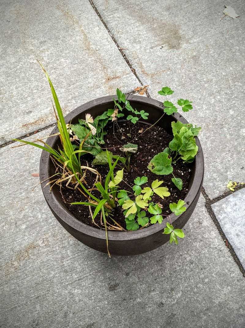 Ensure Proper Drainage